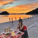말티즈민박