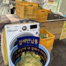 천안세차장백세