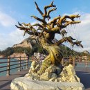 선유도 | [역장투어] 12.06 군산 선유도 여행후기✨