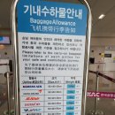 아날도바시니대전 | [제주여행] 청주공항에서 제주공항
