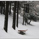 서인공원 이미지