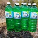 장강펜션 이미지