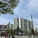 새롬카정비타운 | [임장 기록 #1] 철산역 임장 후기(철산푸르지오하늘채,도덕파크타운,철산래미안자이,철산한신,철산역...