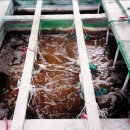 아란농장 이미지