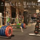 더짐피트니스 이미지
