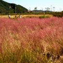 쟈스민모텔 이미지