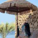 스테이 오아시 이미지