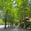 도원운학로 | 영월 가족캠핑 더좋은날n, 캠핏이 골랐어요!