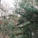 주소 공원 이미지