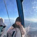 4506 | 리장 옥룡설산 투어 후기｜옥룡설산·람월곡·인상여강까지 하루 코스 솔직 리뷰