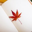 버드플라워 - 북구 침산남로13길 23 | 버드플라워
