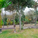 신원민박 이미지