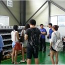 케이제이(KJ) 이미지