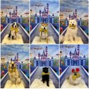 멍스 스쿨 이미지