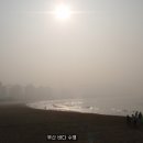 6월 13일 성난파도와 함께한 해운대 바다 수영 이미지