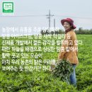 땅콩푸드 이미지