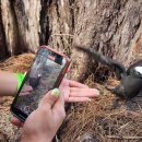 석양풍경 이미지