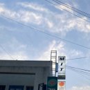 MIT Fitness 이미지