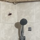바선