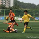 용인(강릉) 이미지