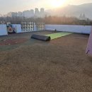 마당 인조잔디 선택과 설치 방법 - 깔끔한 마당 만들기