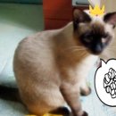 반월공원 이미지