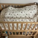 애니팜 | 맡기기, 내돈내산 끝나지 않는 출산준비(아기 방수매트, 아기유산균, 젖병세척솔, 젖병건조대 구매후기)