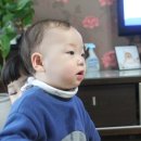 시온커튼