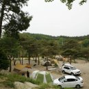 양평 베이스캠프 티스토리