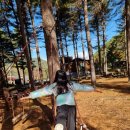 설악면사무소 (2층) | 가평 국립 유명산 자연휴양림 단풍 휴양관 삼형제바위 가성비숙소