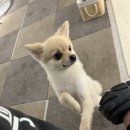 러브아지 이미지