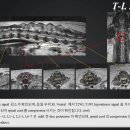 대경연합동물영상센터 이미지