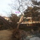 초락당한의원 이미지