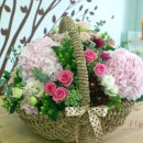 메리엘산부인과 이미지