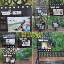 성흥산 솔바람길 이미지