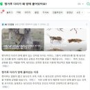 09 | 시드니여행 3막