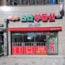 효서로 Daum카페
