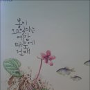 포구풍경