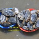 설천면112 이미지