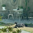 난호목장 이미지