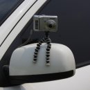 도촌농장 이미지