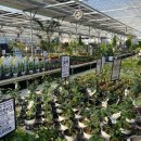 예삐마트 이미지