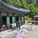 심원사 티스토리