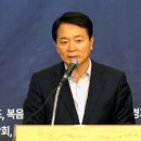 코야드 노컷뉴스