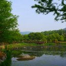 자연수변공원 이미지