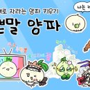 양파스토어