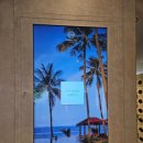 파라다이스목욕탕 이미지