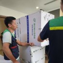 비나코리아 이미지