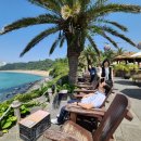 제주기사 이미지