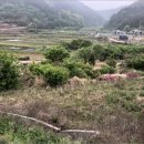 구산면557 이미지